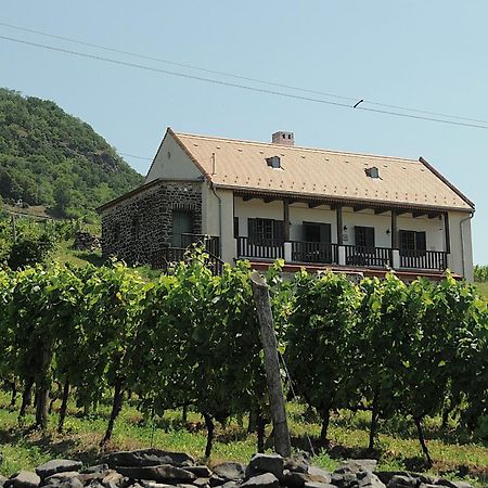 Sed Pince Vendeghaz Apart otel Somlojeno Dış mekan fotoğraf