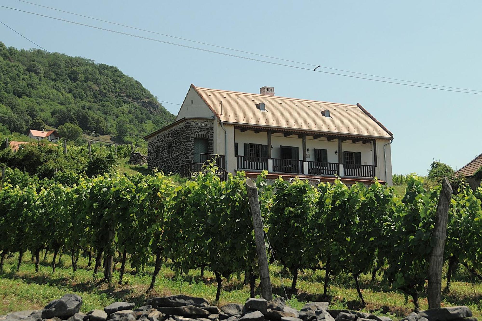 Sed Pince Vendeghaz Apart otel Somlojeno Dış mekan fotoğraf